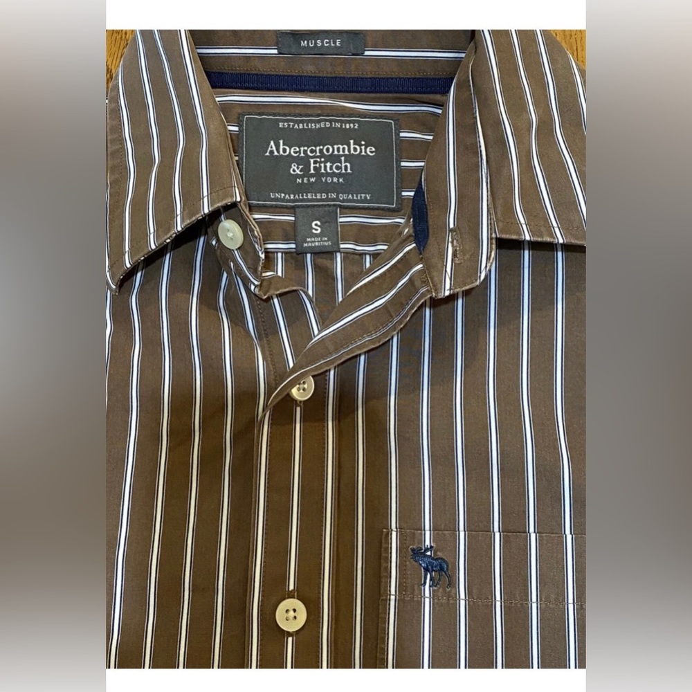 Abercrombie And Fitch Men’s S Muscle Button Up Brown Striped